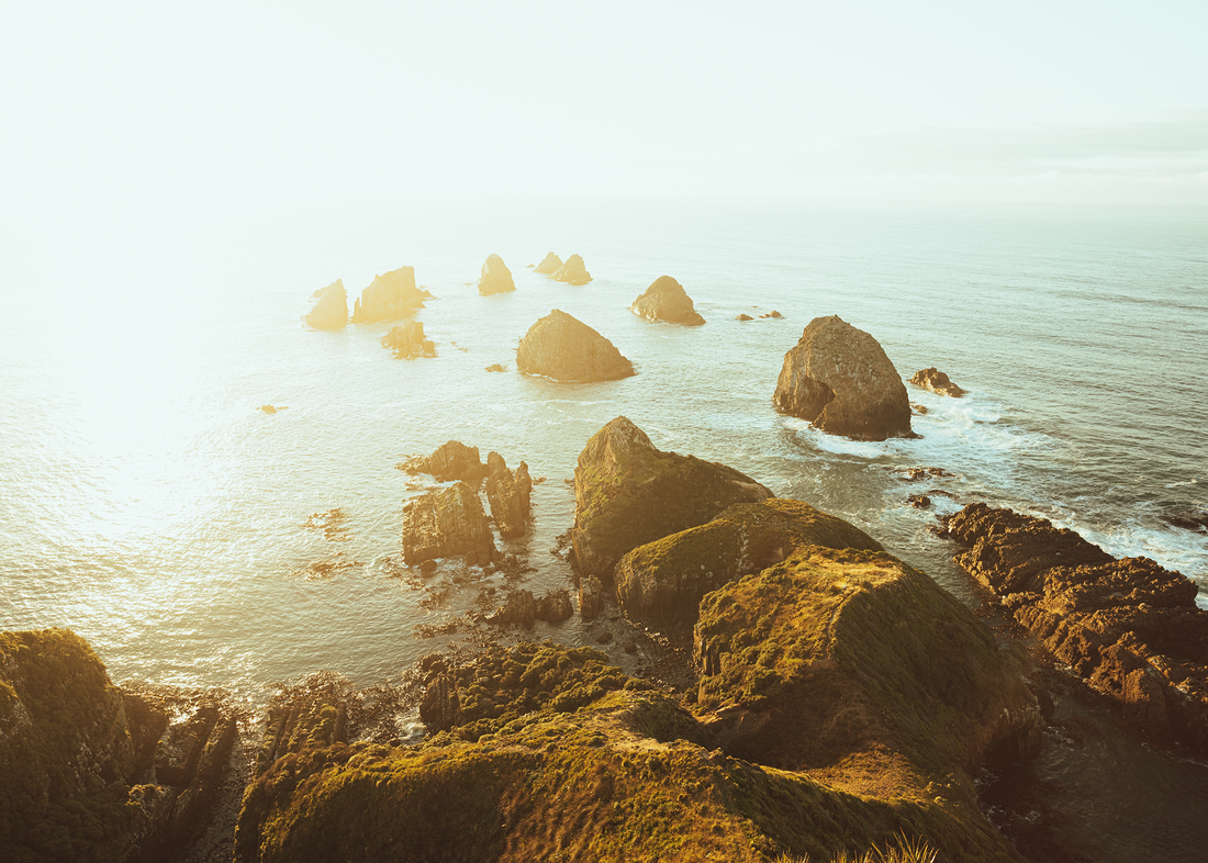 THEY HIDE THE OCEAN IN A SHELL